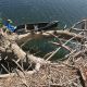 2019 Estuary Survey