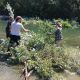 <strong>Help build Salmon Floating Structures Saturday</strong>