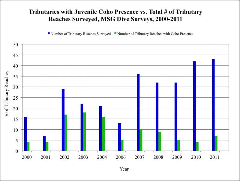 Tributaries with Juvenile Coho Presence vs. Total # of Tributary Reaches Surveyed, MSG Dive Surveys, 2000-2011